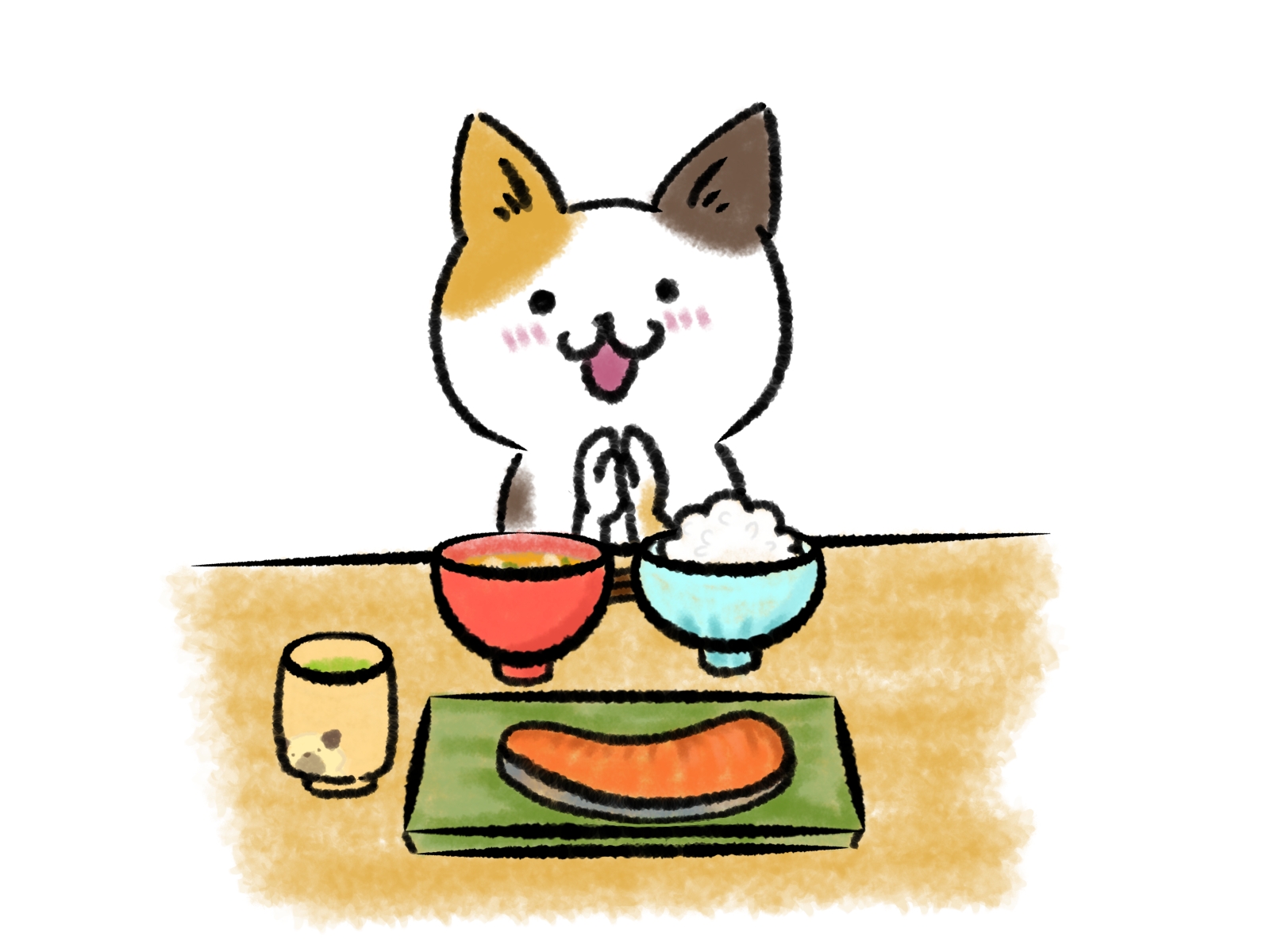 食事をする猫