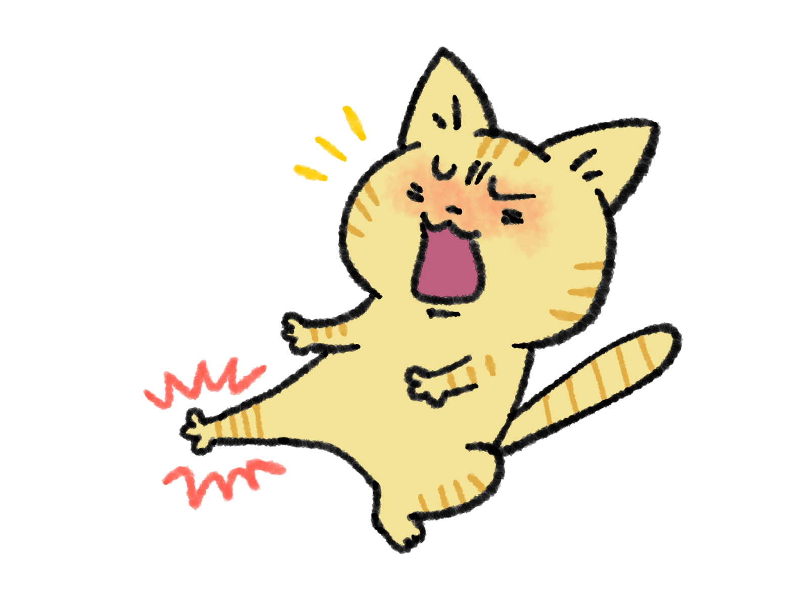 足が痛い猫さん