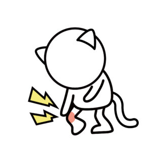 膝が痛い猫