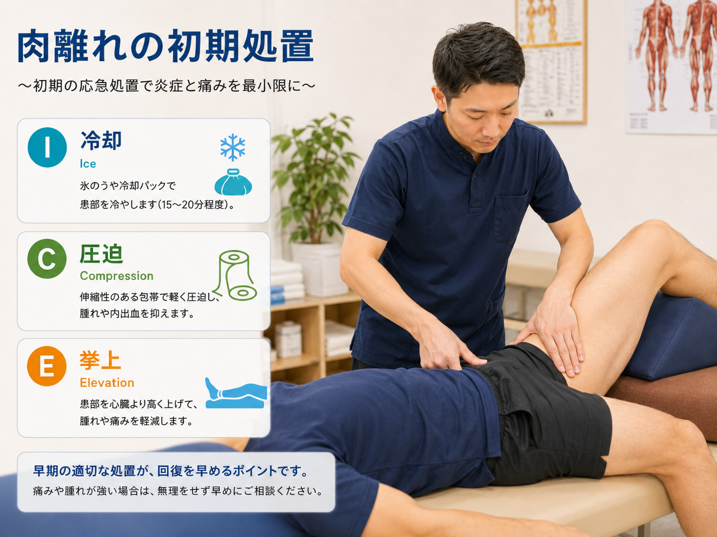 施術者が太ももの痛みや腫れの状態を確認し、肉離れの初期処置として冷却・圧迫・挙上を説明する、くめ鍼灸整骨院のイメージ画像