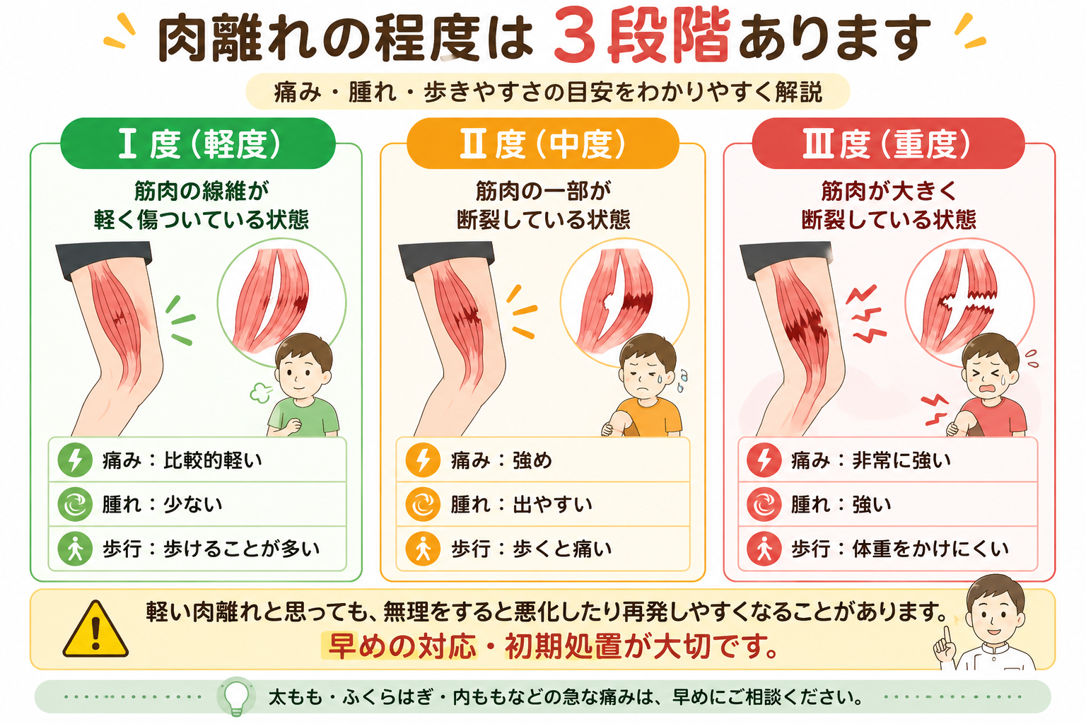 富田林市のくめ鍼灸整骨院金剛院が肉離れの軽度・中度・重度を解説したイラスト
